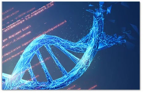 Mobilgeräte-DNA